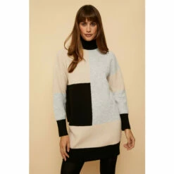 Wallis Colour Block Cosy Polo Neck Dress For Female