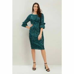 Wallis Sequin Flute Sleeve Dress For Female -Cheap Wallis Store unnamed file 1445