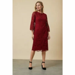 Wallis Petite Lace Berry Pencil Dress For Female -Cheap Wallis Store unnamed file 1922