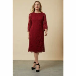 Wallis Petite Lace Berry Pencil Dress For Female -Cheap Wallis Store unnamed file 1925