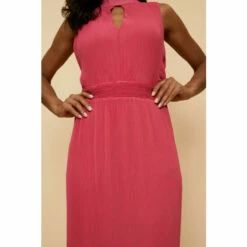 Wallis Pink Pleated Halter Neck Layer Dress For Female -Cheap Wallis Store unnamed file 2306