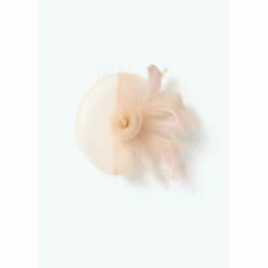 Wallis Blush Mesh Feather Fascinator For Female
