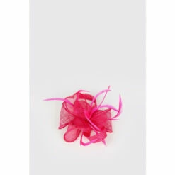 Wallis Flower And Feather Detail Fascinator For Female