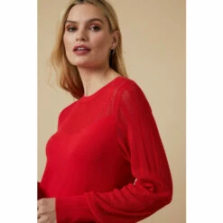 Wallis Pointelle Crew Neck Swing Knitted Dress For Female -Cheap Wallis Store unnamed file 2728