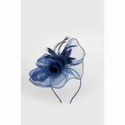Wallis Flower And Feather Detail Mesh Fascinator For Female