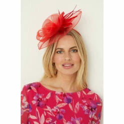 Wallis Flower And Feather Detail Mesh Fascinator For Female -Cheap Wallis Store unnamed file 310