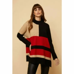 Wallis Mixed Stripe Colour Black High Neck Jumper For Female