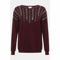 Wallis Tall Berry Linear Crystal Crew Neck Jumper For Female -Cheap Wallis Store unnamed file 3425