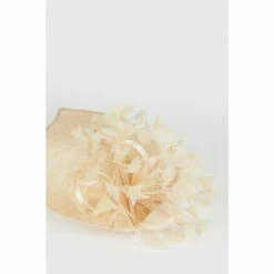 Wallis Premium Feather Detail Hatinator For Female -Cheap Wallis Store unnamed file 400