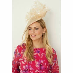 Wallis Premium Feather Detail Hatinator For Female -Cheap Wallis Store unnamed file 401