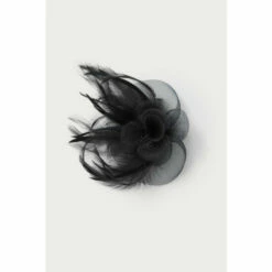 Wallis Black Mesh Feather Fascinator For Female