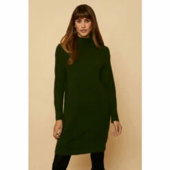 Wallis Ribbed High Neck Knitted Dress For Female -Cheap Wallis Store unnamed file 4394